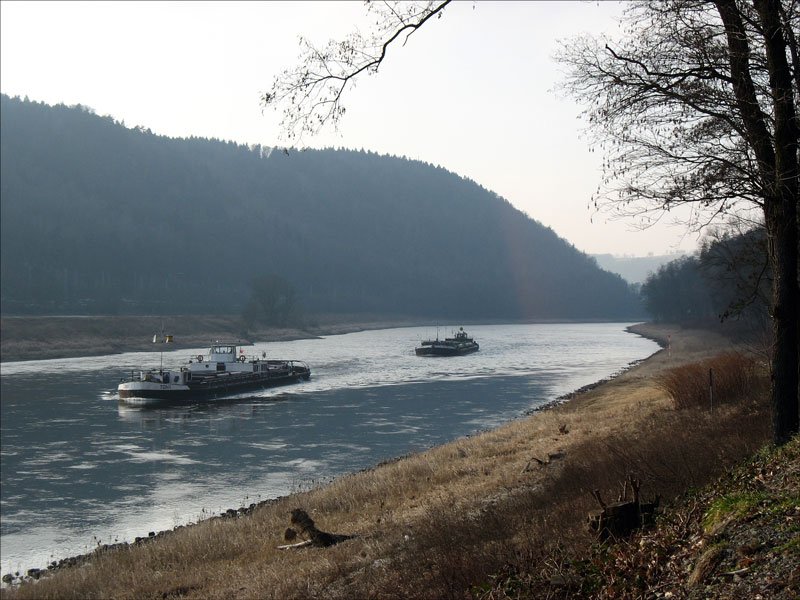 Winterstimmung an der Elbe in der Schsischen Schweiz mit einem tschechischen Schleppverband zwischen Kurort Rathen und Wehlen, 15.01.2008
