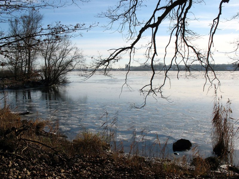 Winterstimmung an der Elbe zwischen Geesthacht und Lauenburg; 06.01.2009
