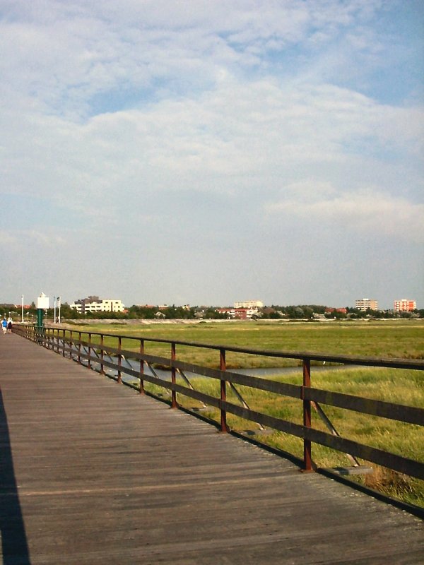 Ziemlich weit ist in St. Peter-Ording der Weg bis zum Nordseewasser, 2003