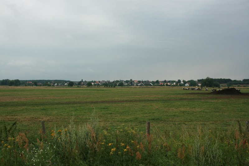 Ziltendorfer Niederung, Blick auf Wiesenau