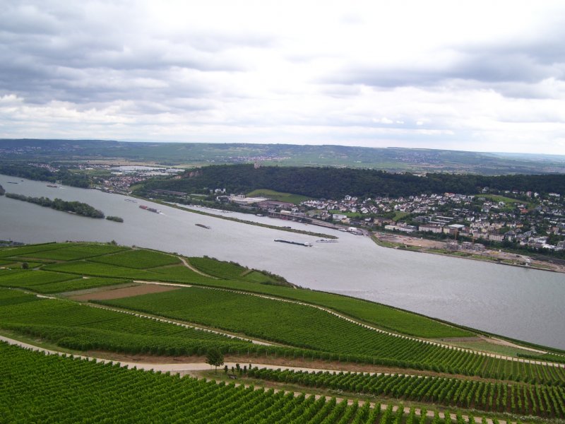 Zu sehen sind die Weinberge unterhalb des Niederwalddenkmals bei Rdesheim und auf der anderen Rheinseite sieht man Bingen. 24.07.2007