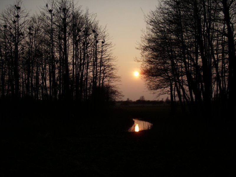 Zur Abwechslung habe ich es auch mal mit Landschaftsbildern versucht.Aufgenommen am Abend am Nonnensee bei Bergen/Rgen.